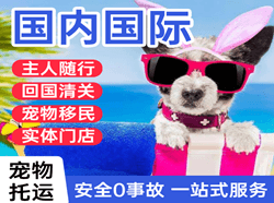 成都机场邮寄国际宠物托运 【国